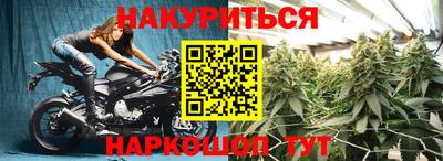 сатива Лесосибирск