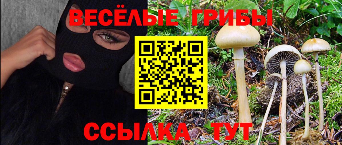 закладки  Галлюциногенные грибы прущие грибы  Вход с VPN  Бирск 