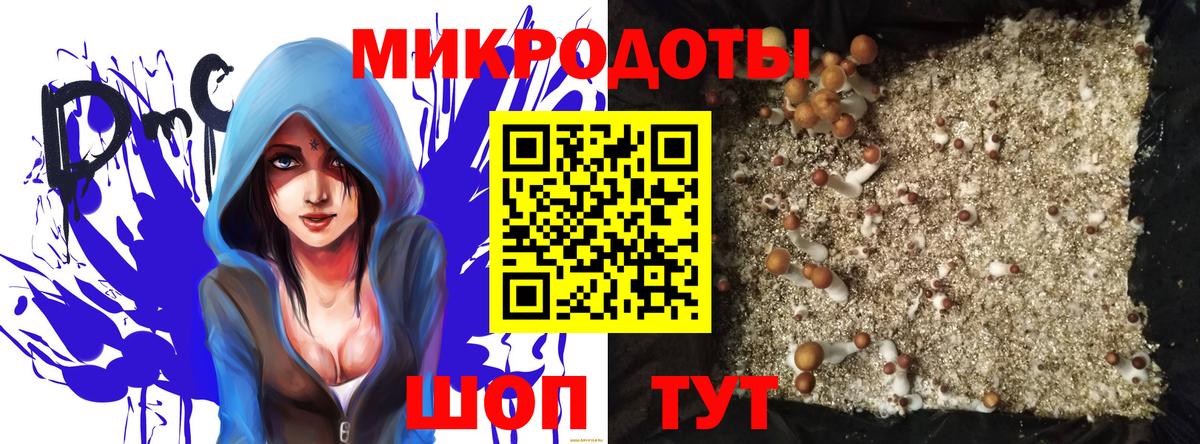 Псилоцибиновые грибы Psilocybine cubensis Бирск